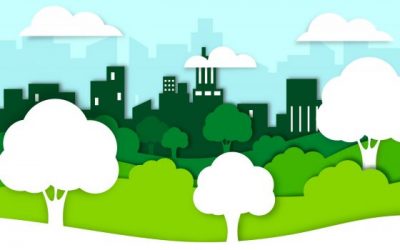 Zero Waste Project in 5 Questions